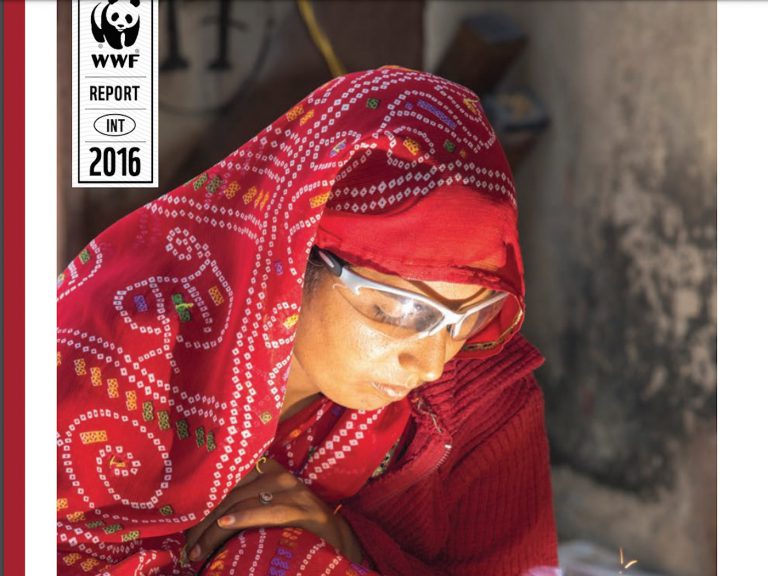 WWF-CASE-ST