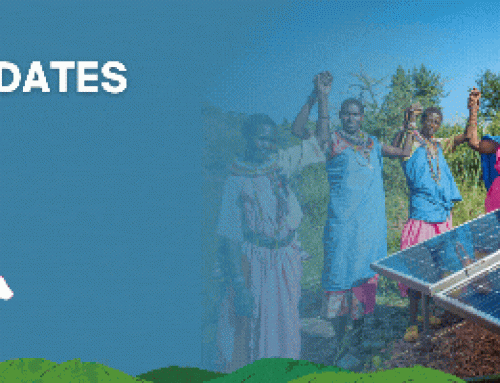 Access Updates Newsletter December 2024