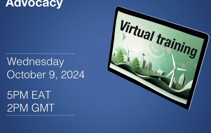 Digital Advocacy for Civil Society Organizations