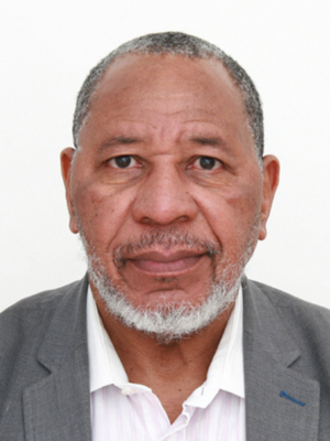 Professeur Youba Sokona